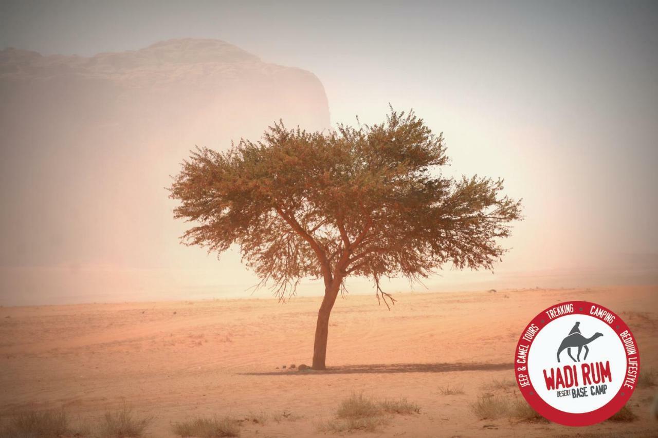 Wadi Rum Desert Base Camp מראה חיצוני תמונה